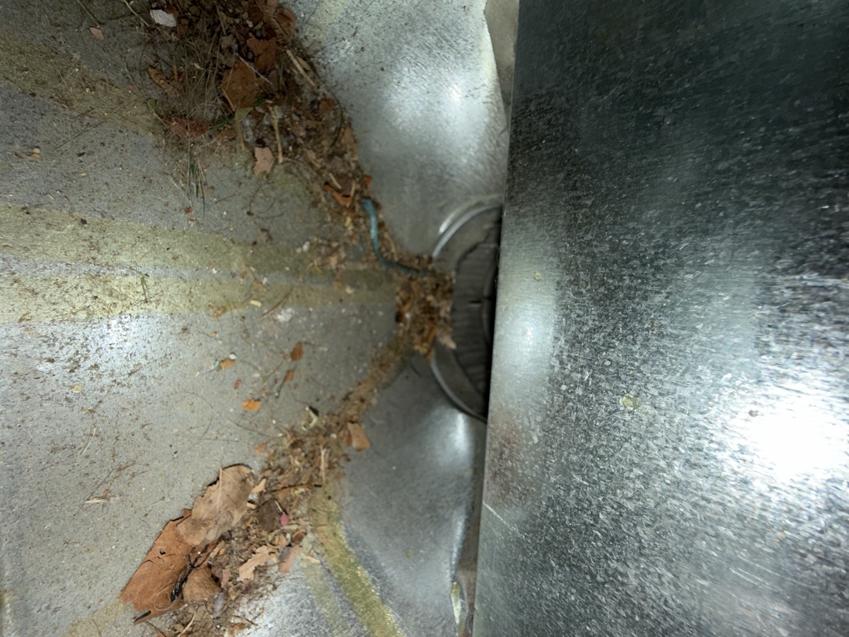 Outdoor debris and leaves in duct